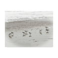 thumbnail image 1 of Trademark Fine Art 'Sandpipers' Canvas Art by Brooke T. Ryan, 1 of 3