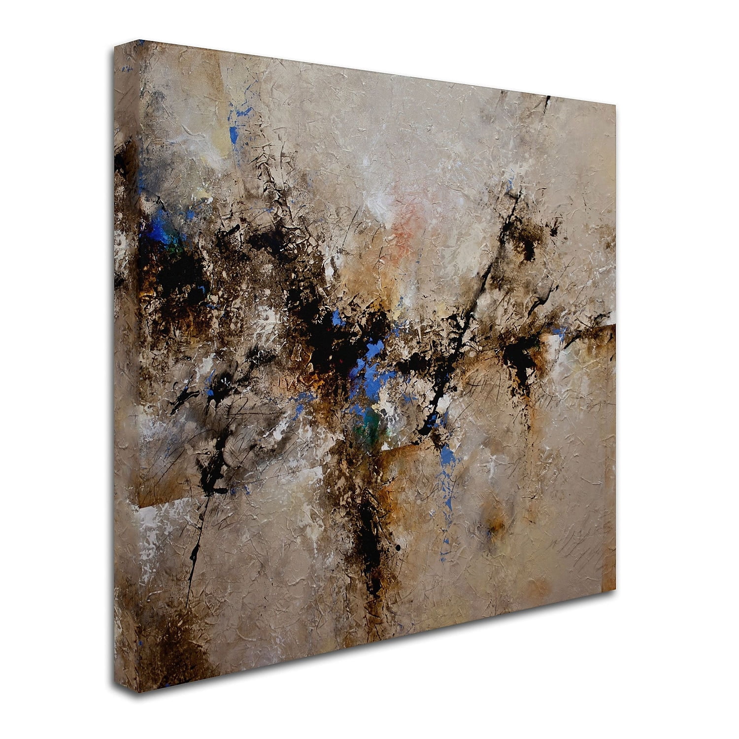 Trademark Fine Art "Sands of Time II" Canvas Art by CH Studios