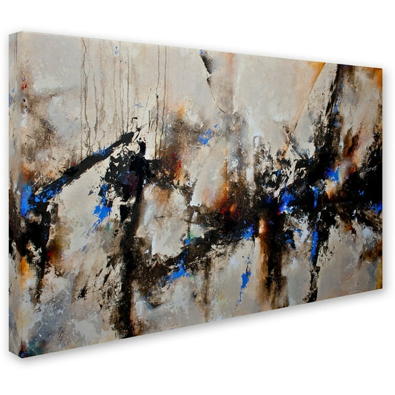Trademark Fine Art "Sands of Time III" Canvas Art by CH Studios