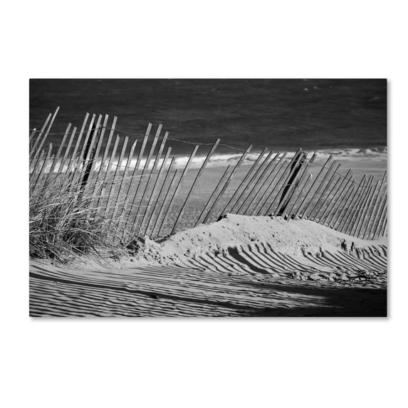 Trademark Fine Art 'Sandy Beach Fence' Canvas Art by PIPA Fine Art