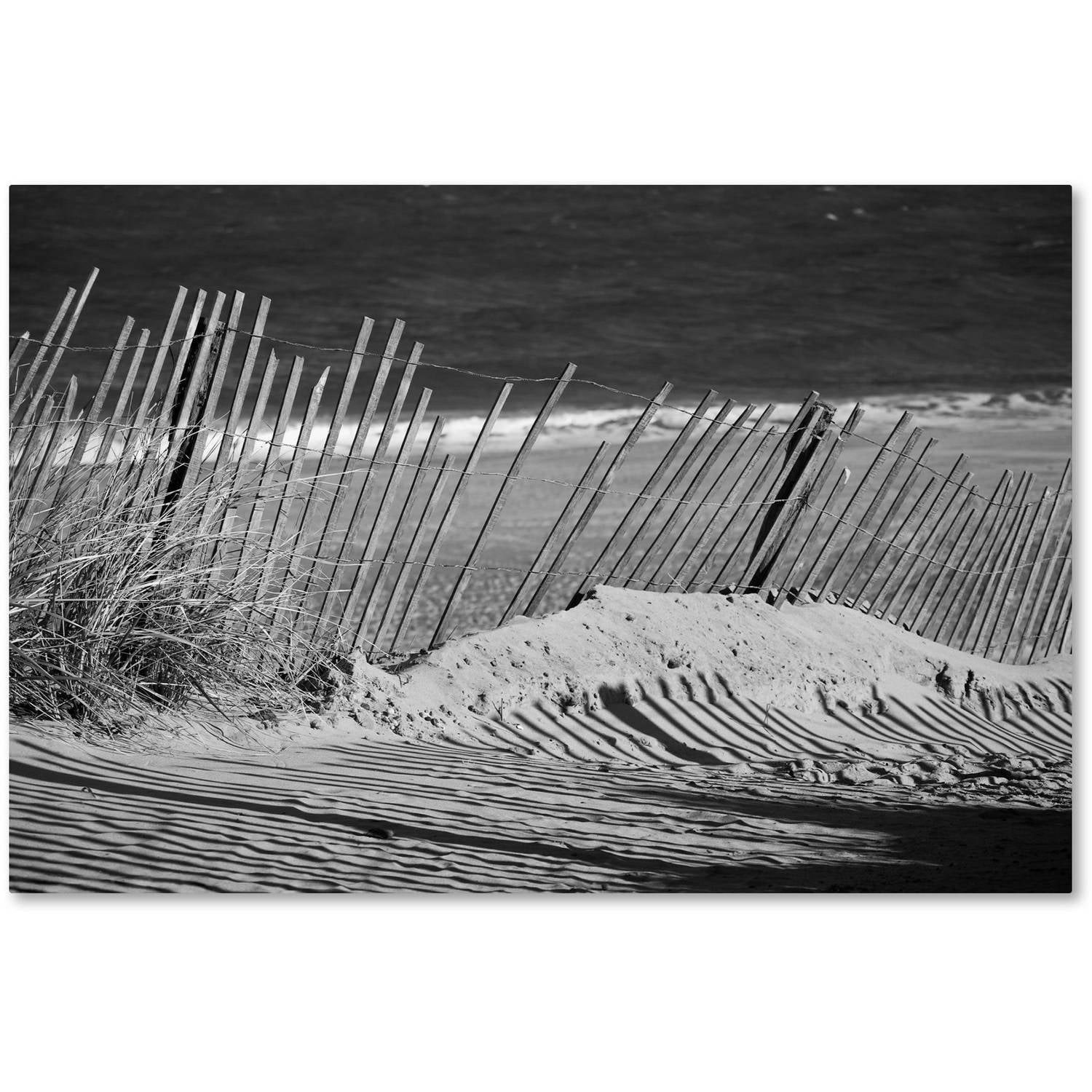 Trademark Fine Art 'Sandy Beach Fence' Canvas Art by PIPA Fine Art