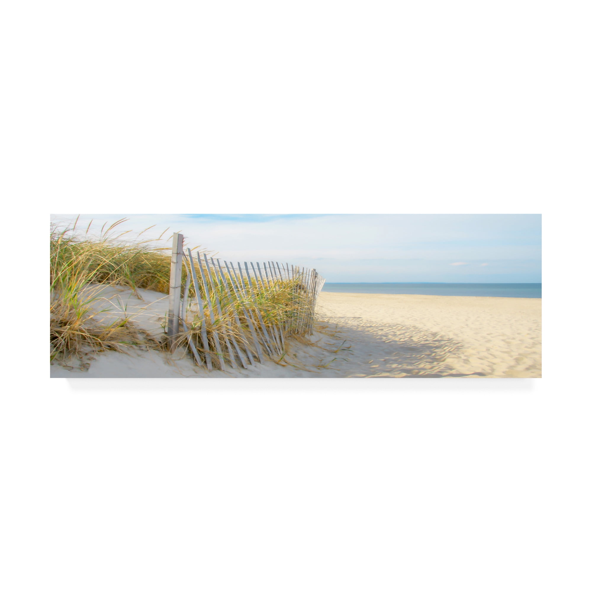 Trademark Fine Art 'Sandy Neck (panorama)' Canvas Art by Brooke T. Ryan