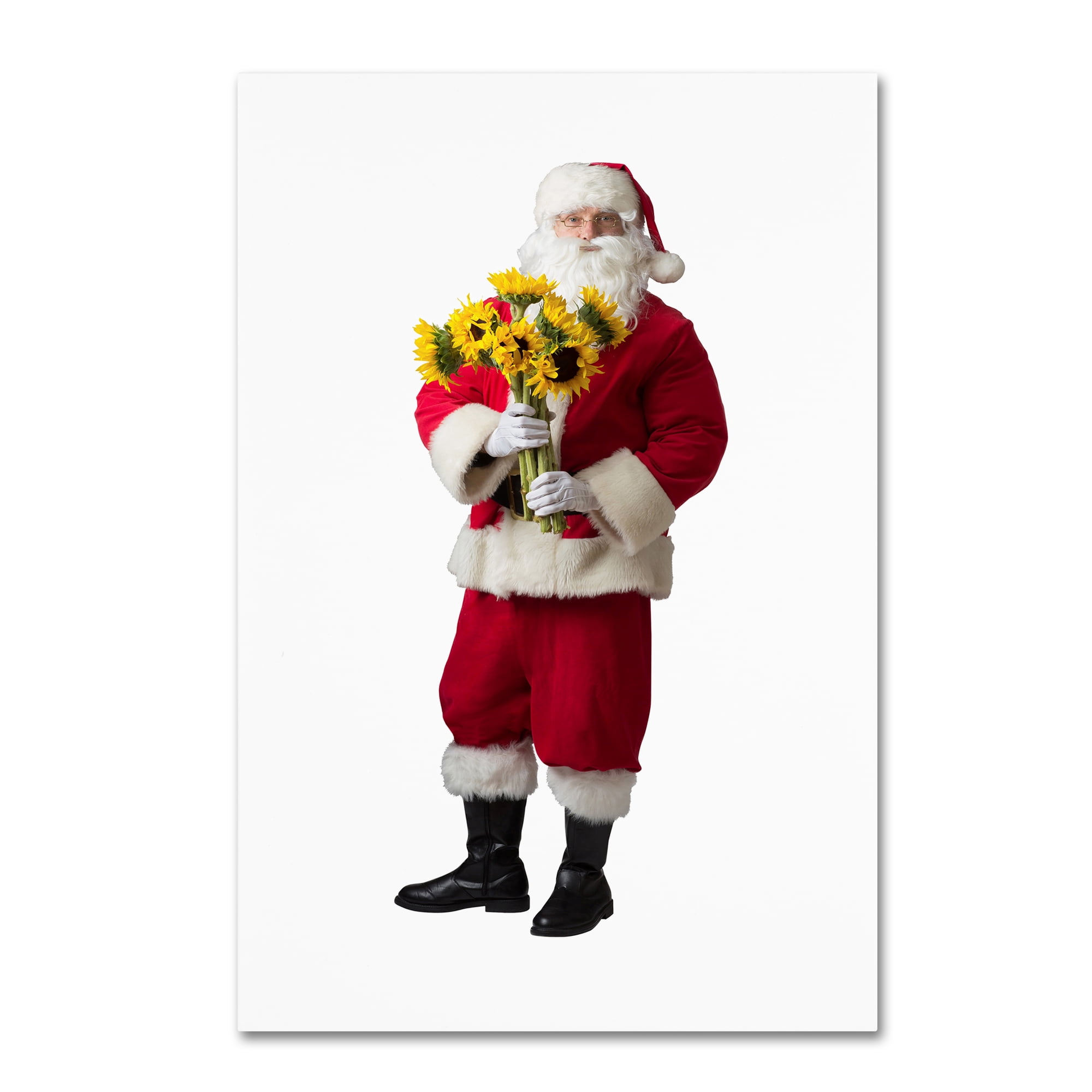 Trademark Fine Art 'Santa-sunflowers-12106' Canvas Art by Ed Wheeler