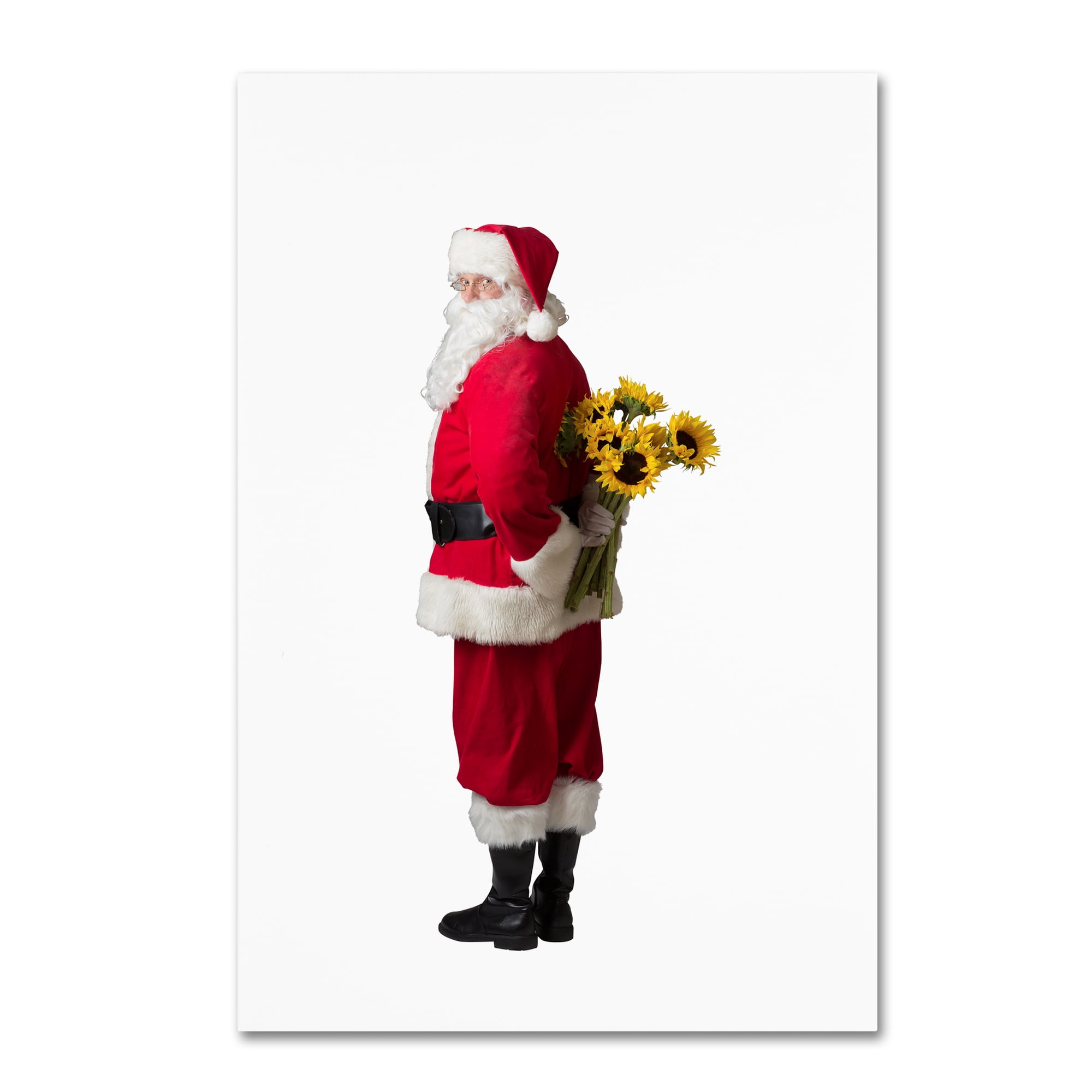 Trademark Fine Art 'Santa-sunflowers3-12106' Canvas Art by Ed Wheeler