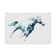 thumbnail image 1 of Trademark Fine Art 'Sapphire Gallop I' Canvas Art by Julie T. Chapman, 1 of 4