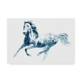 thumbnail image 1 of Trademark Fine Art 'Sapphire Gallop II' Canvas Art by Julie T. Chapman, 1 of 4