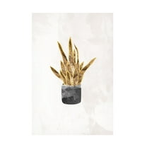Trademark Fine Art Sarah Manovski Black and gold house plant 1 Canvas Wall Art