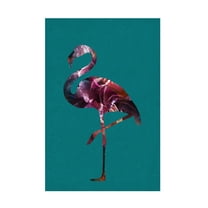 Trademark Fine Art Sarah Manovski Flamingo Pink and Green Canvas Wall Art