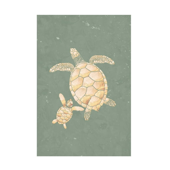 Trademark Fine Art Sarah Manovski  Gold Sage Green Turtles Canvas Wall Art