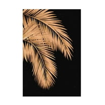 Trademark Fine Art Sarah Manovski Golden palms black copper 1 Canvas Wall Art