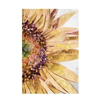 Trademark Fine Art Sarah Manovski Golden sunflower Canvas Wall Art