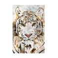 thumbnail image 1 of Trademark Fine Art Sarah Manovski Grunge Gold Tiger Canvas Wall Art, 1 of 4