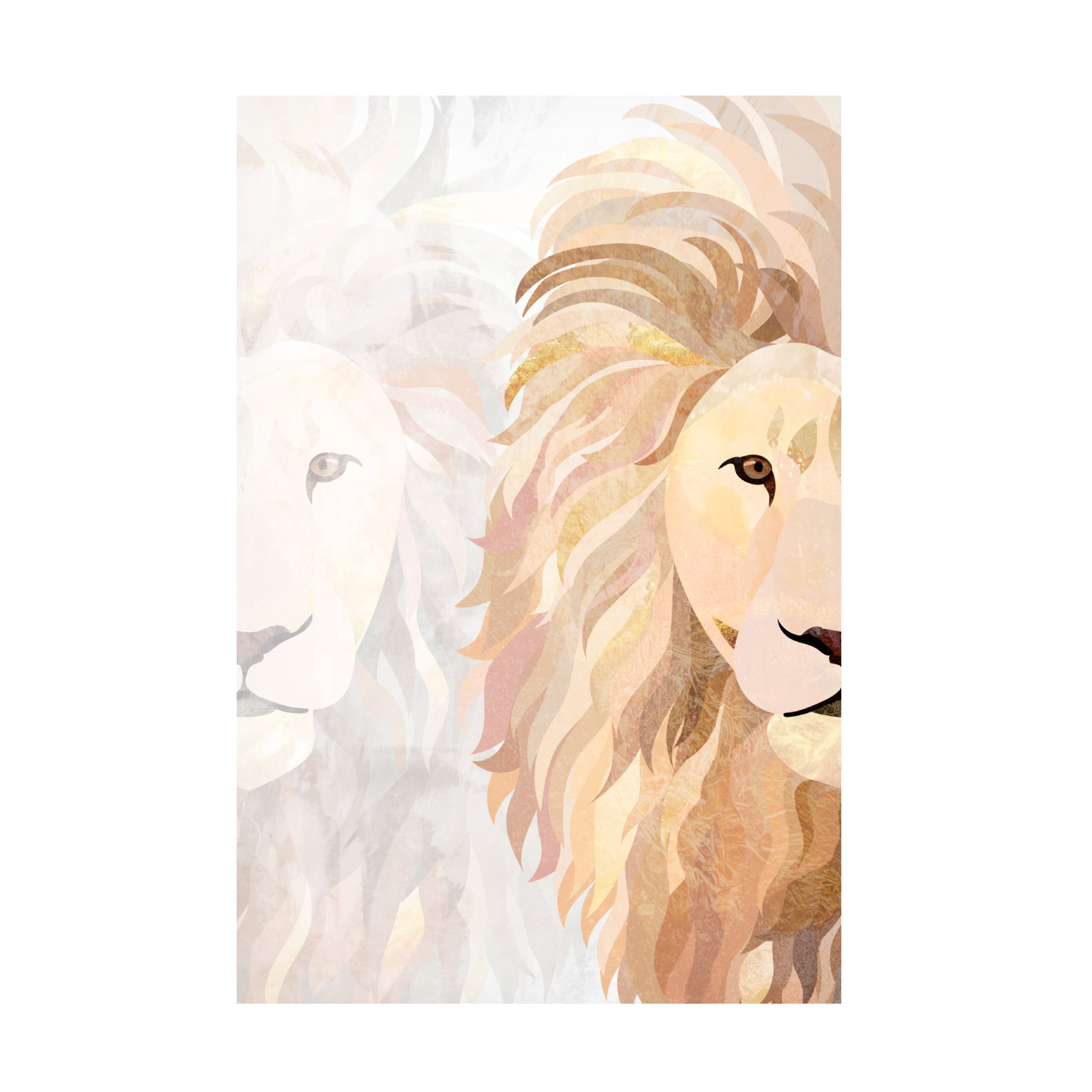 Trademark Fine Art Sarah Manovski  Lion Half face 1 Canvas Wall Art