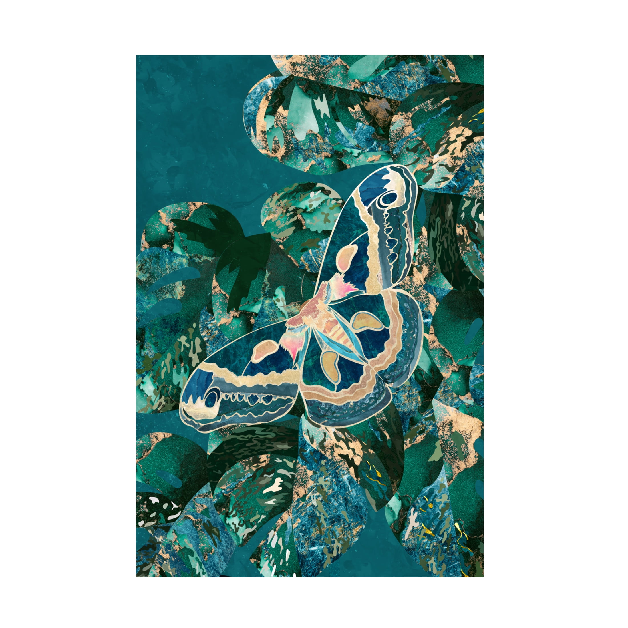 Trademark Fine Art Sarah Manovski Moth and Monstera Leaves Canvas Wall Art