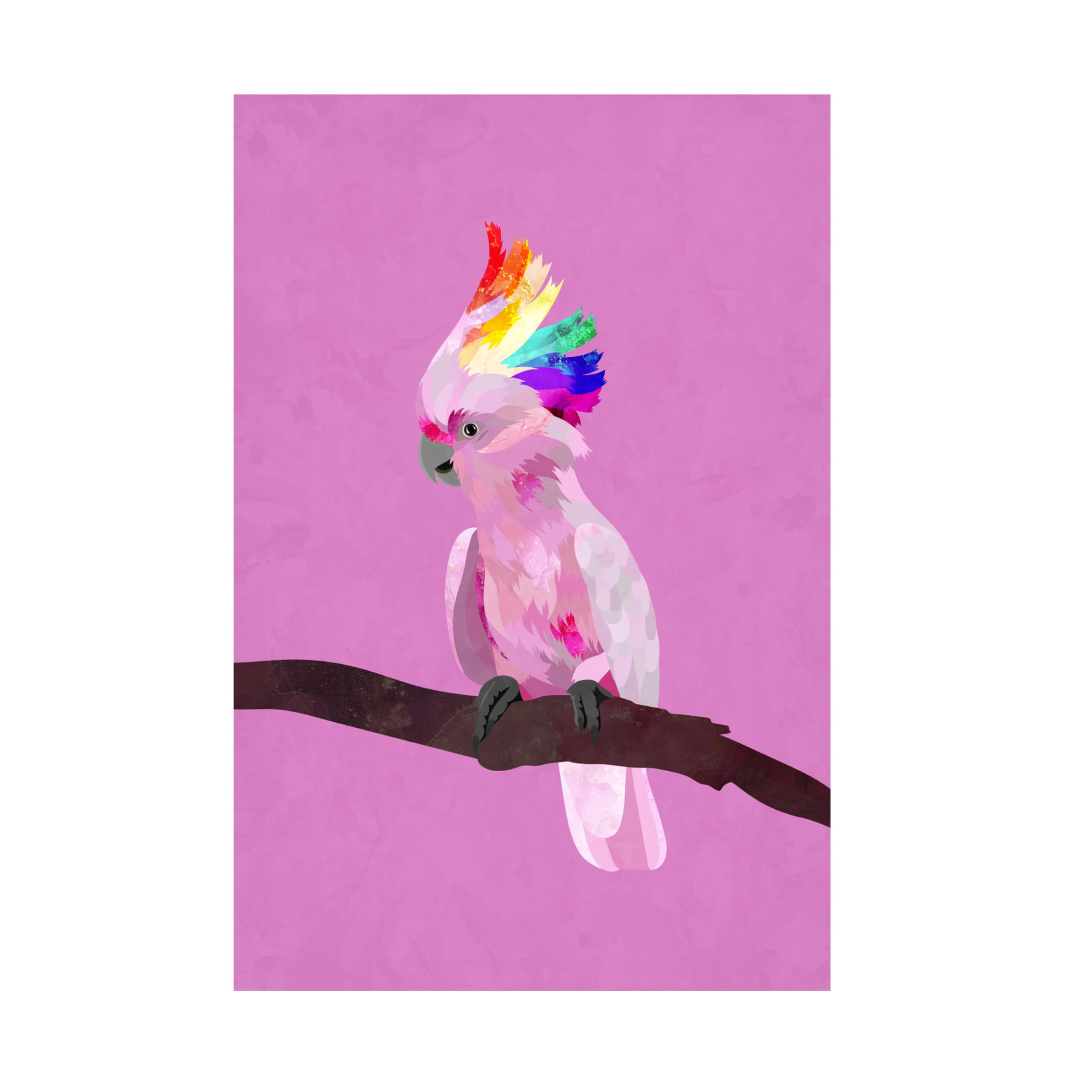 Trademark Fine Art Sarah Manovski Pride Galah Canvas Wall Art