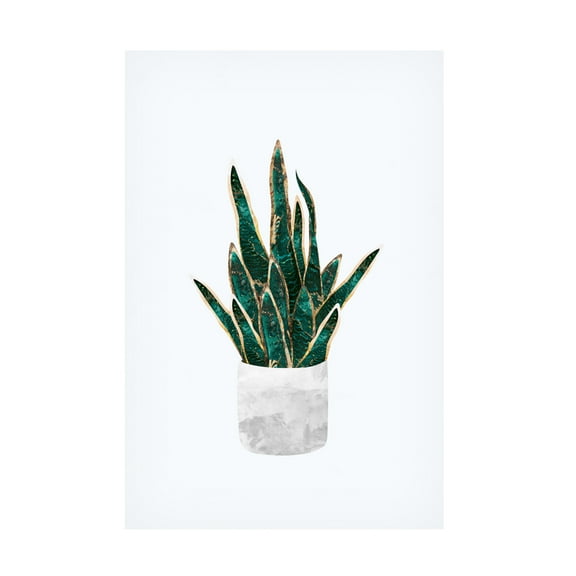 Trademark Fine Art Sarah Manovski  Snake Plant Canvas Wall Art