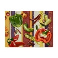 thumbnail image 1 of Trademark Fine Art 'Sarape Peppers II' Canvas Art by Jade Reynolds, 1 of 4