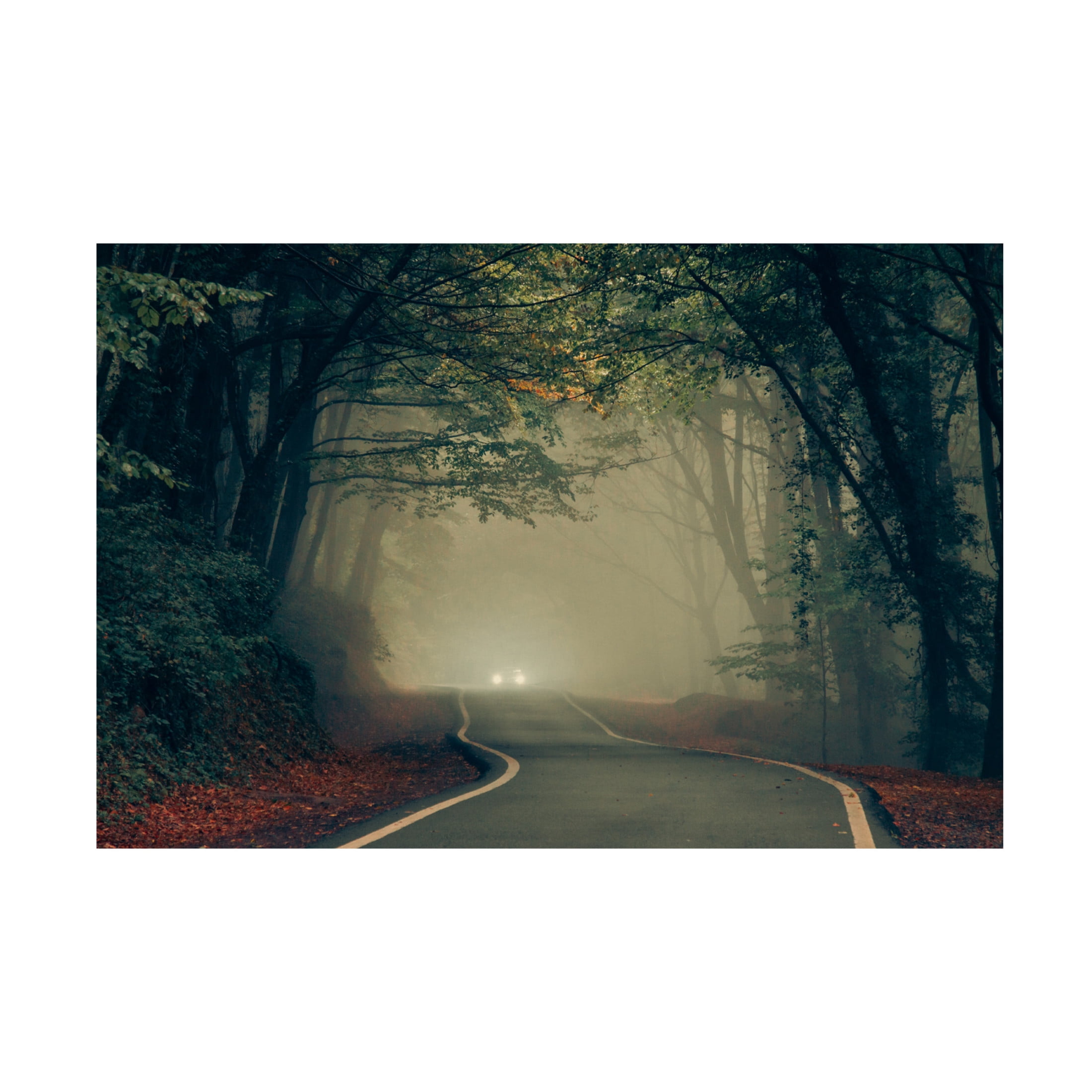 Trademark Fine Art Saskia Dingemans Tiryakioglu Untitled Canvas Wall Art