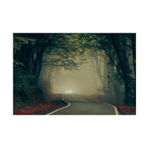 Trademark Fine Art Saskia Dingemans Tiryakioglu Untitled Canvas Wall Art