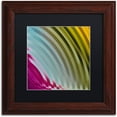 thumbnail image 1 of Trademark Fine Art "Satin I" Canvas Art by Color Bakery Black Matte, Wood Frame, 1 of 1