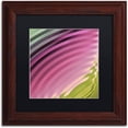 thumbnail image 1 of Trademark Fine Art "Satin II" Canvas Art by Color Bakery Black Matte, Wood Frame, 1 of 4