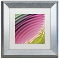 thumbnail image 1 of Trademark Fine Art "Satin II" Canvas Art by Color Bakery White Matte, Silver Frame, 1 of 4