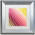 thumbnail image 1 of Trademark Fine Art "Satin V" Canvas Art by Color Bakery White Matte, Silver Frame, 1 of 1