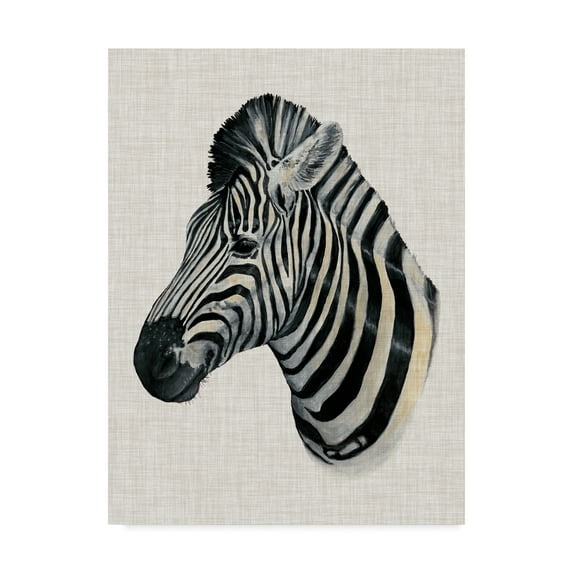 Trademark Fine Art 'Savanna Impressions I' Canvas Art by Naomi McCavitt