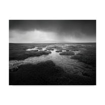 Trademark Fine Art 'Scale Moor' Canvas Art by Martin Henson