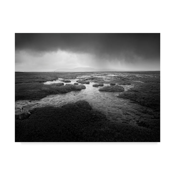 Trademark Fine Art 'Scale Moor' Canvas Art by Martin Henson