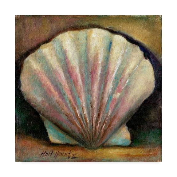 Trademark Fine Art 'Scallop Pink' Canvas Art by Hall Groat Ii