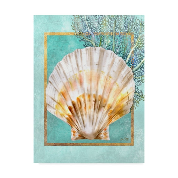 Trademark Fine Art 'Scallop Shell and Coral' Canvas Art by Lori Schory
