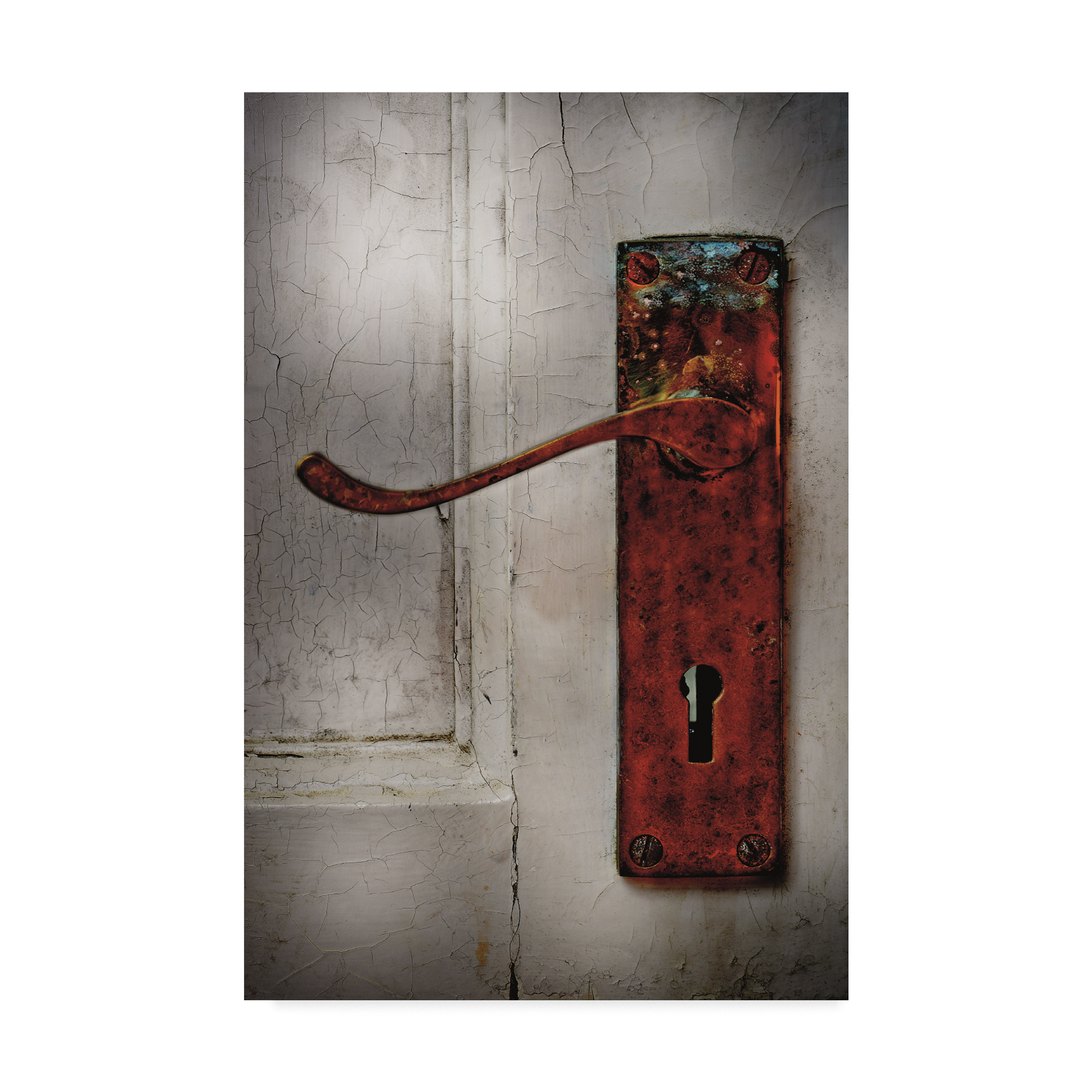 Trademark Fine Art 'Scalloped Door' Canvas Art by Christine Sainte-Laudy