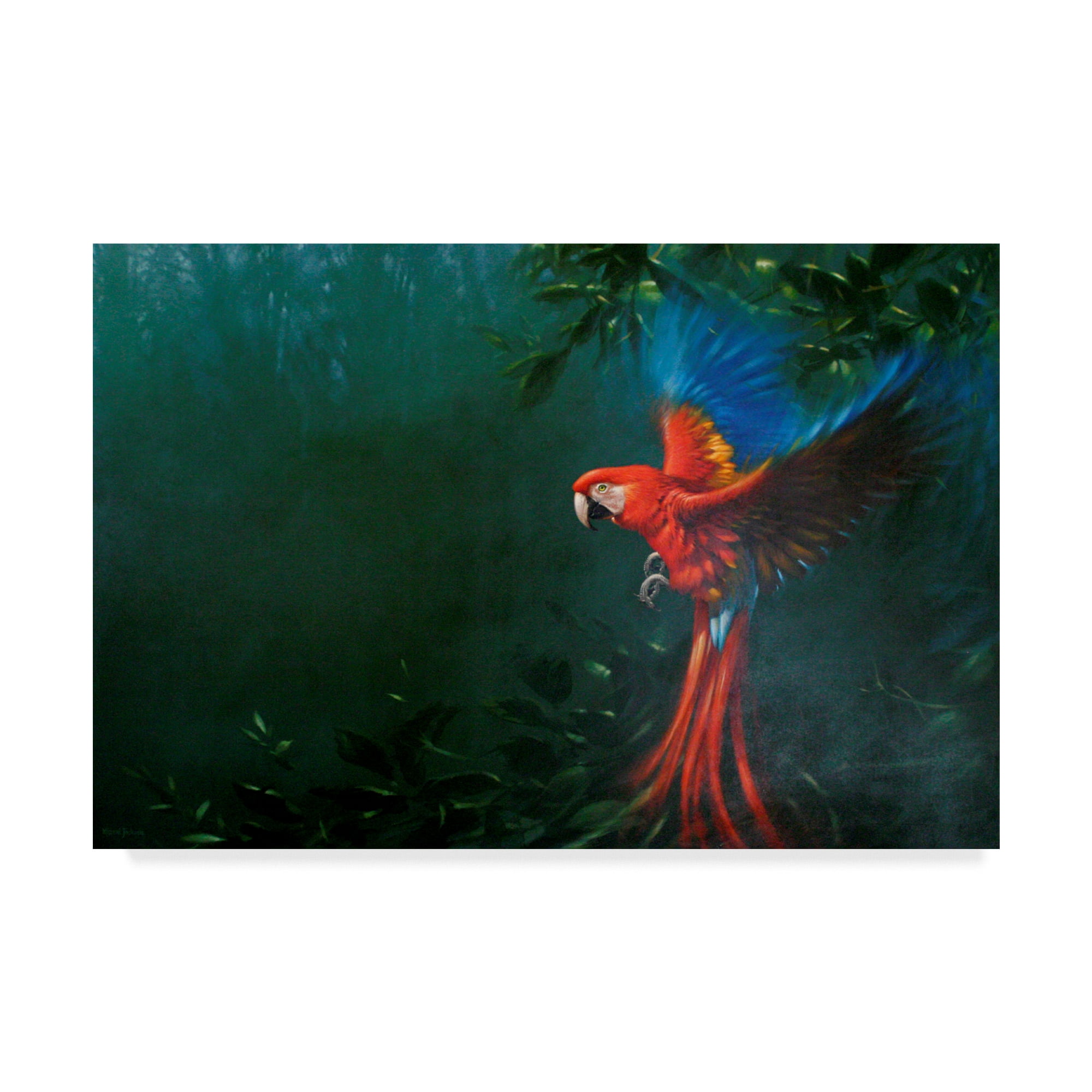 Scarlet Macaw Portrait Canvas Art in Vibrant Colors
