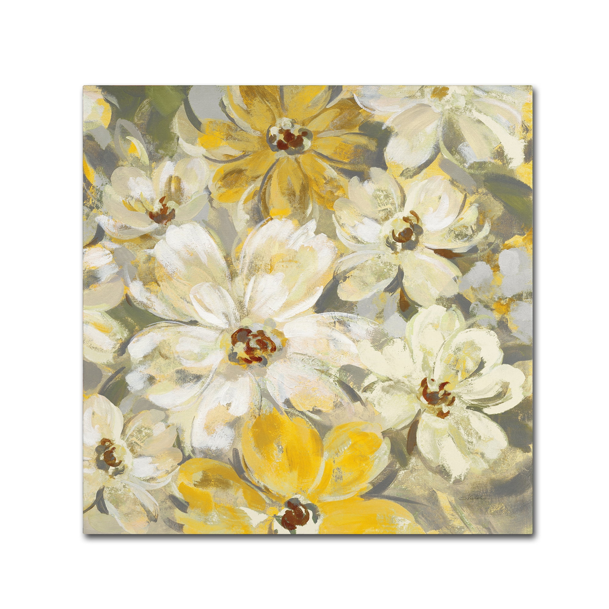 Trademark Fine Art 'Scattered Spring Petals Crop' Canvas Art by Silvia Vassileva