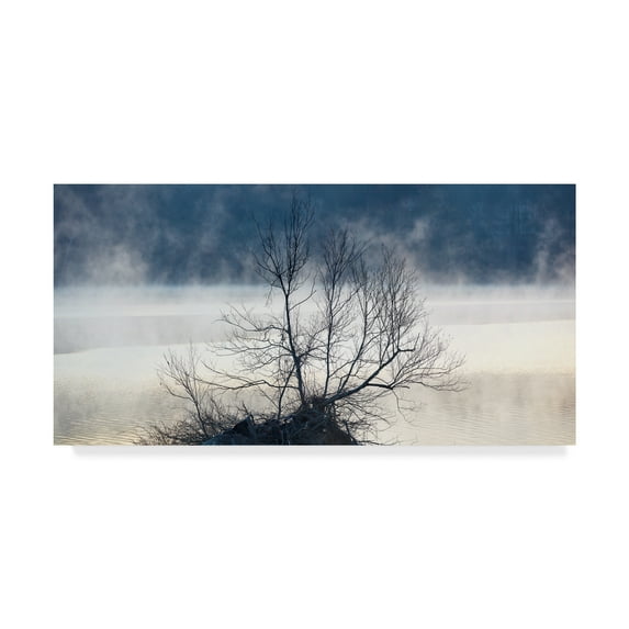 Trademark Fine Art 'Scene on the Water VII' Canvas Art by James McLoughlin