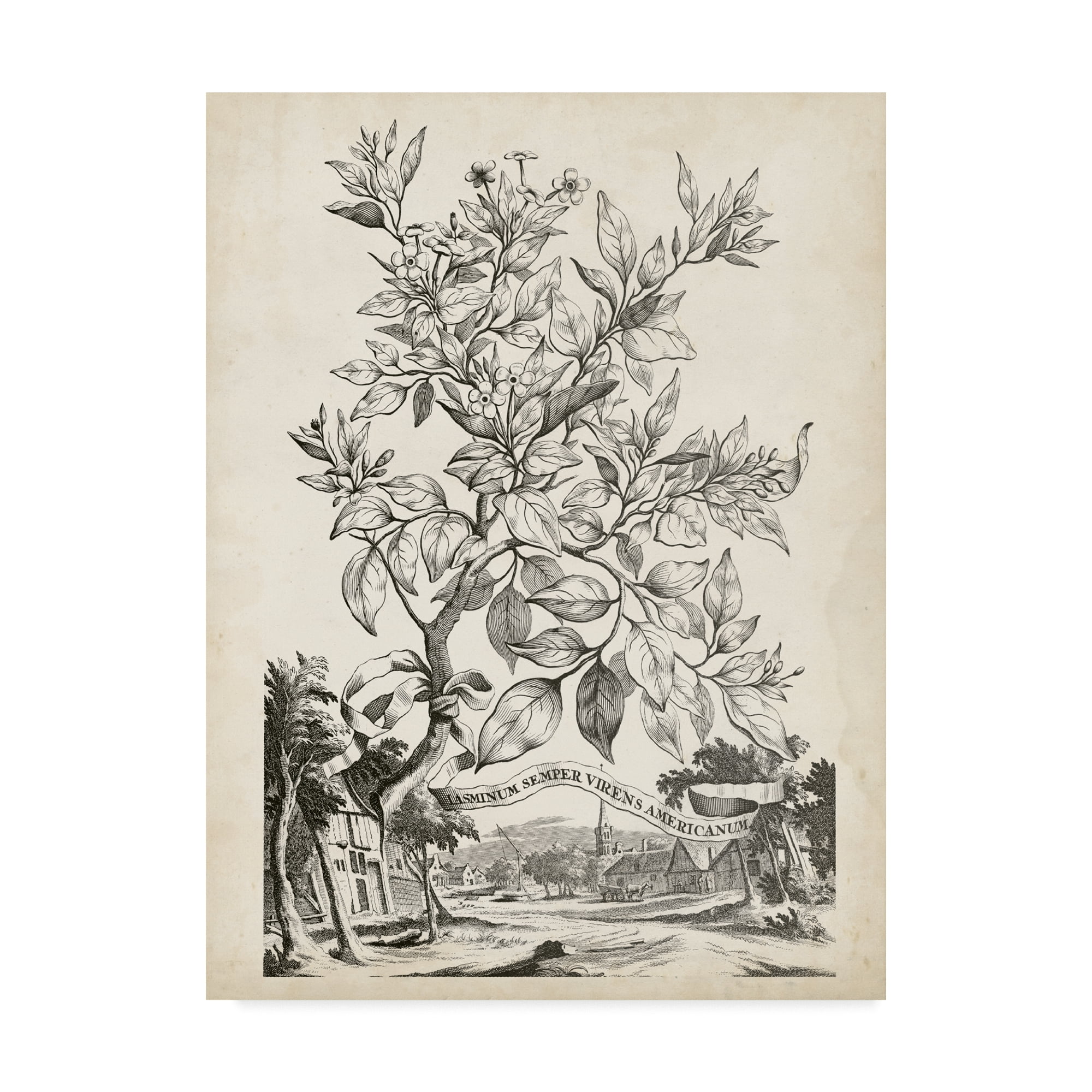 Trademark Fine Art 'Scenic Botanical II' Canvas Art by Abraham Munting
