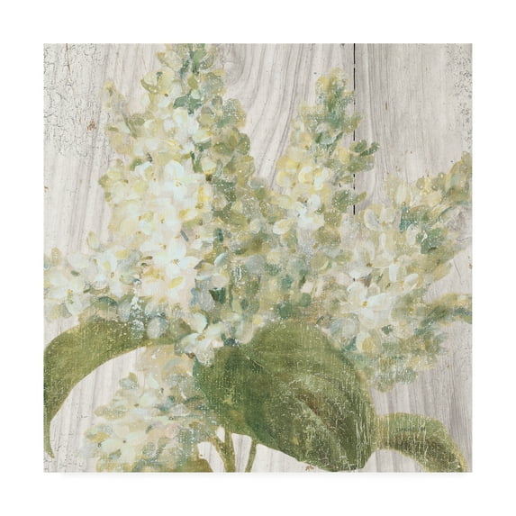 Trademark Fine Art 'Scented Cottage Florals II' Canvas Art by Danhui Nai