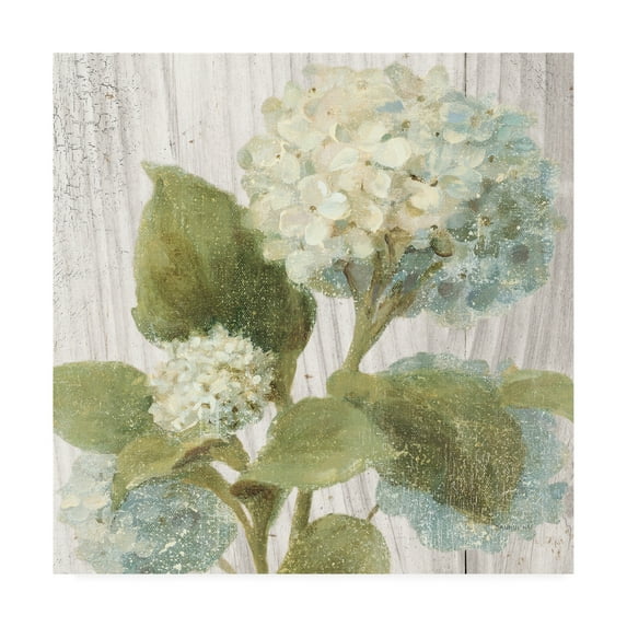 Trademark Fine Art 'Scented Cottage Florals IV' Canvas Art by Danhui Nai