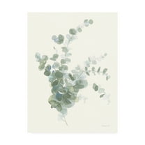 Trademark Fine Art 'Scented Sprig II Cool' Canvas Art by Danhui Nai