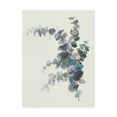 thumbnail image 1 of Trademark Fine Art 'Scented Sprig III' Canvas Art by Danhui Nai, 1 of 3