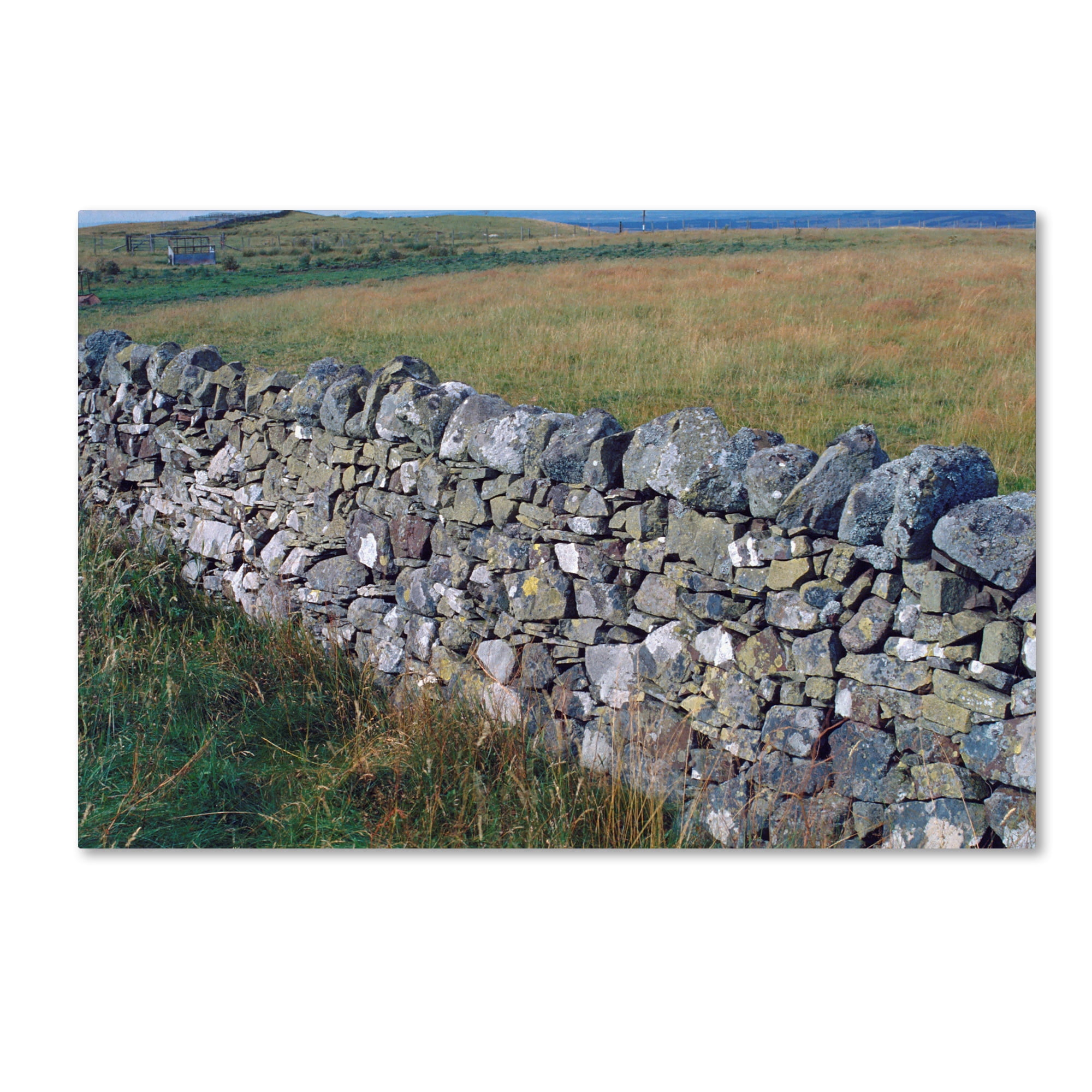 Trademark Fine Art 'Scotland 12a' Canvas Art by Robert K Jones