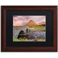 thumbnail image 1 of Trademark Fine Art "Scottish Bridge" Canvas Art by Michael Blanchette Photography Black Matte, Wood Frame, 1 of 4