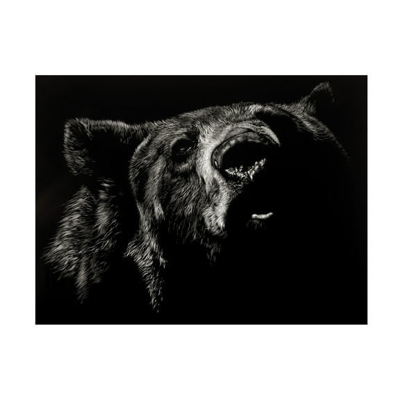 Trademark Fine Art Julie T. Chapman Scratchboard Critic Canvas Wall Art - 14x19