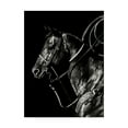 thumbnail image 1 of Trademark Fine Art 'Scratchboard Rodeo V' Canvas Art by Julie T. Chapman, 1 of 4