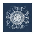 thumbnail image 1 of Trademark Fine Art 'Sea Anemone on Indigo I' Canvas Art by Vision Studio, 1 of 4