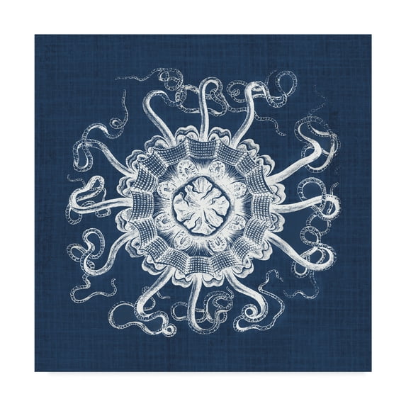 Trademark Fine Art 'Sea Anemone on Indigo I' Canvas Art by Vision Studio