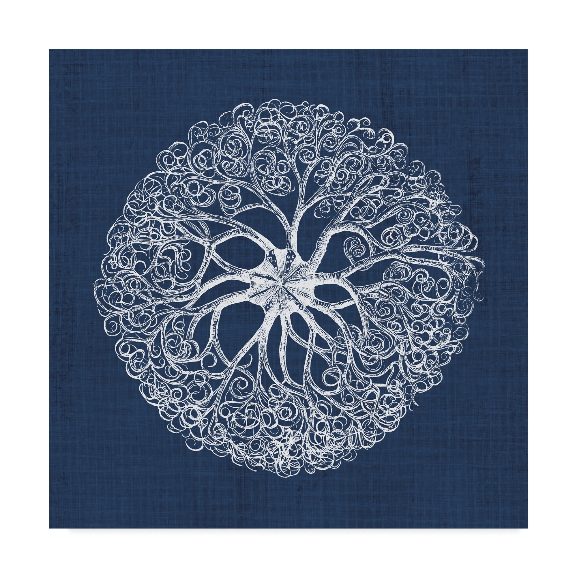 Trademark Fine Art 'Sea Anemone on Indigo II' Canvas Art by Vision Studio