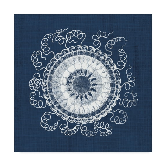 Trademark Fine Art 'Sea Anemone on Indigo IV' Canvas Art by Vision Studio