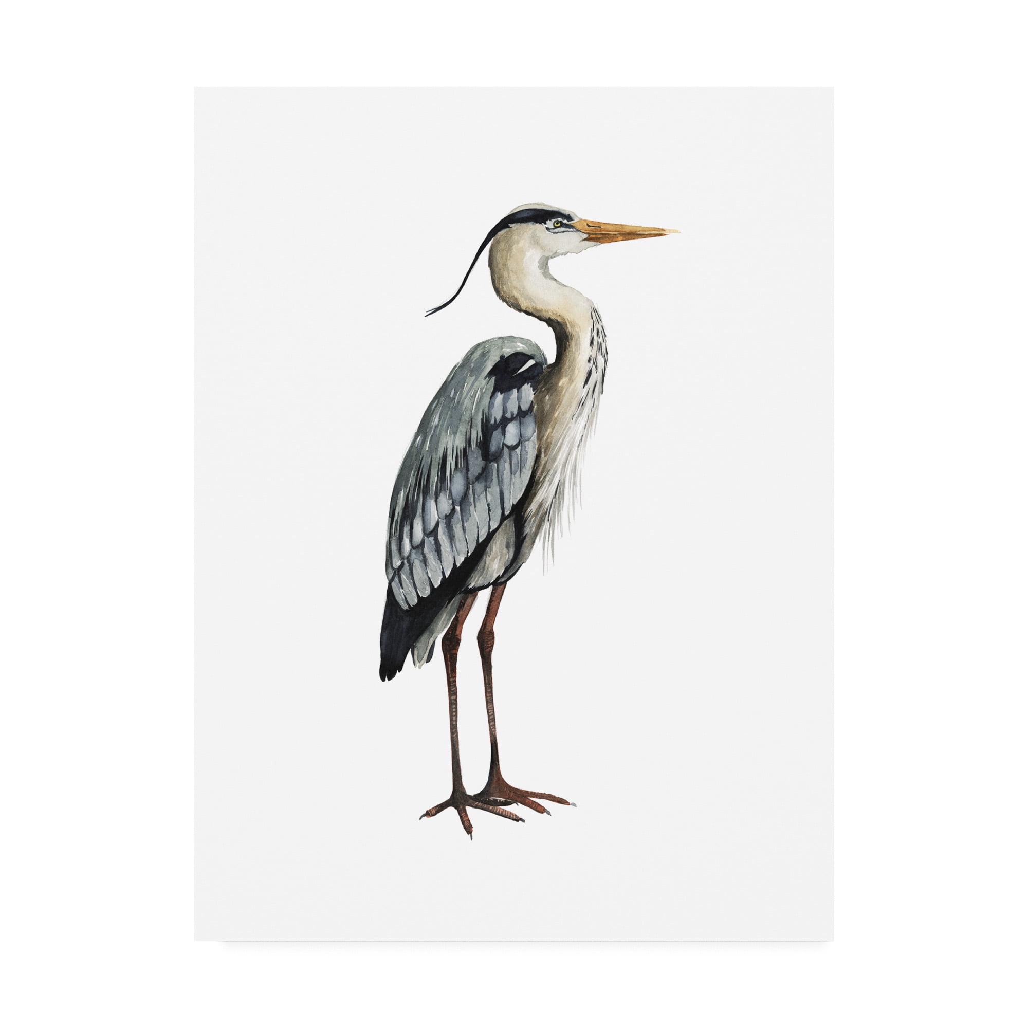 Trademark Fine Art 'Sea Bird V' Canvas Art by Grace Popp